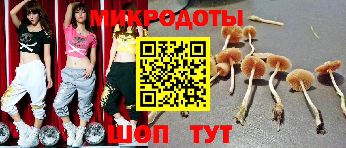 Псилоцибиновые грибы Magic Shrooms Щёлково