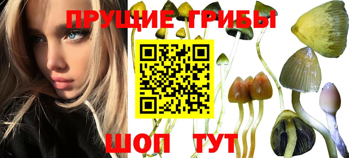Щёлково  Галлюциногенные грибы мухоморы  Вход с VPN 